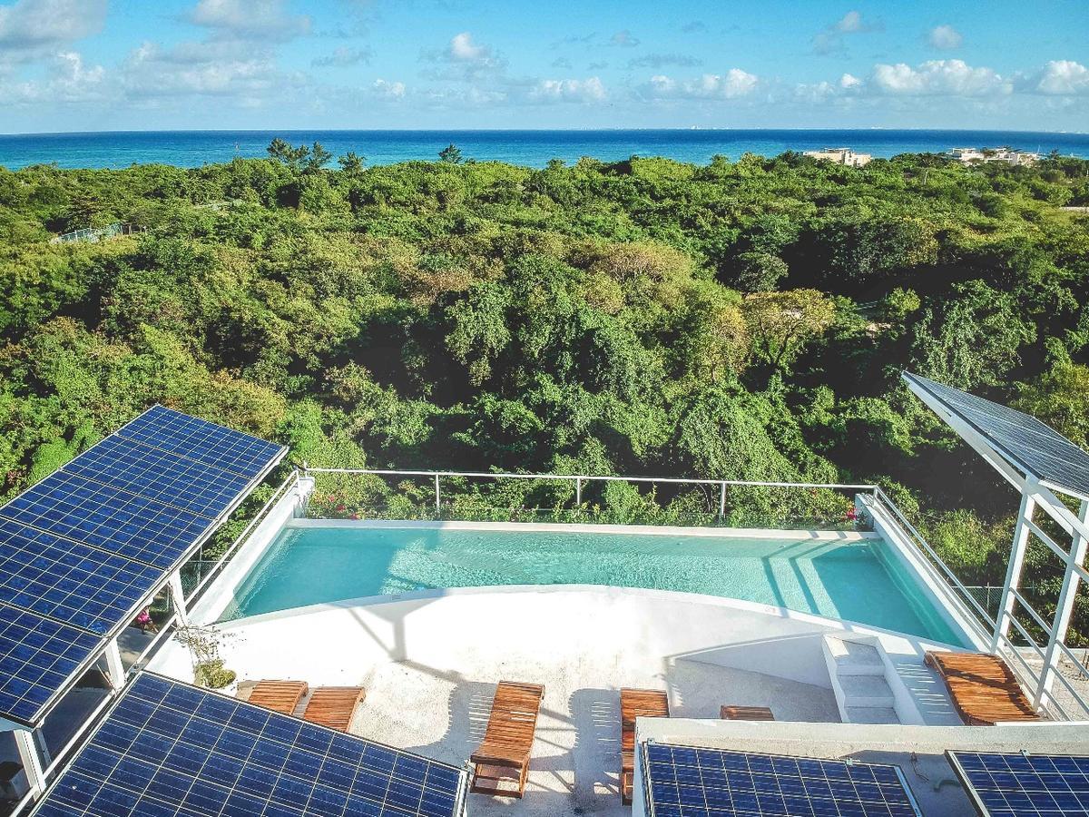 Ocean Zen Suites On 5Th Avenue - Adults Only Плая-дель-Кармен Экстерьер фото