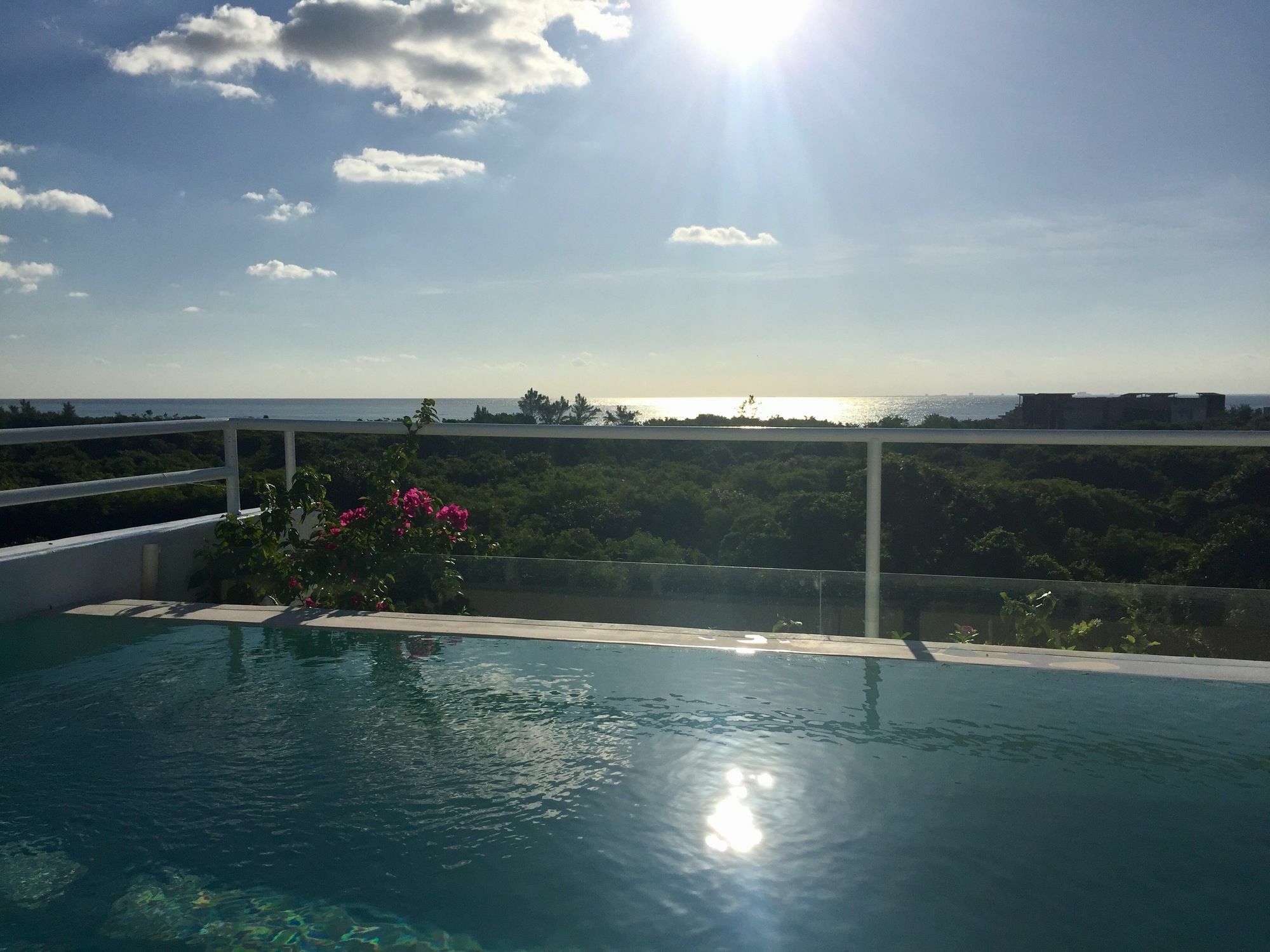 Ocean Zen Suites On 5Th Avenue - Adults Only Плая-дель-Кармен Экстерьер фото